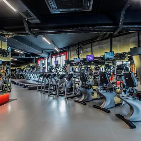 Bof Ceo Atasehir