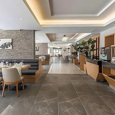 Bof Ceo Atasehir Istanbul